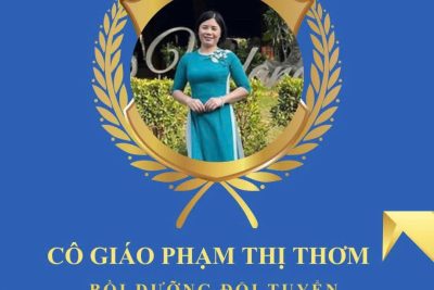 TRƯỜNG THCS NINH AN VINH DANH ĐỘI TUYỂN HỌC SINH GIỎI KHỐI 9
